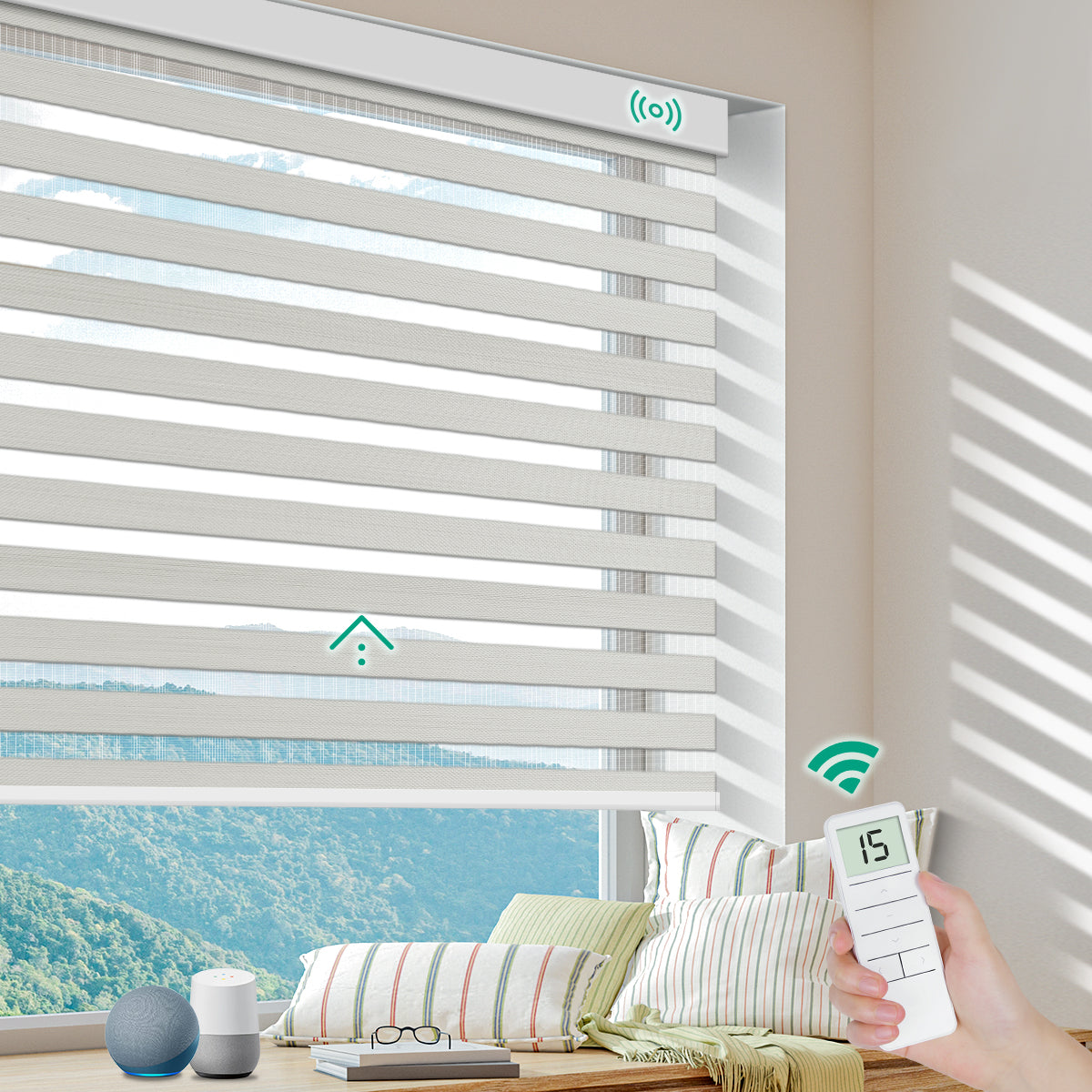 Motorized Zebra Blinds