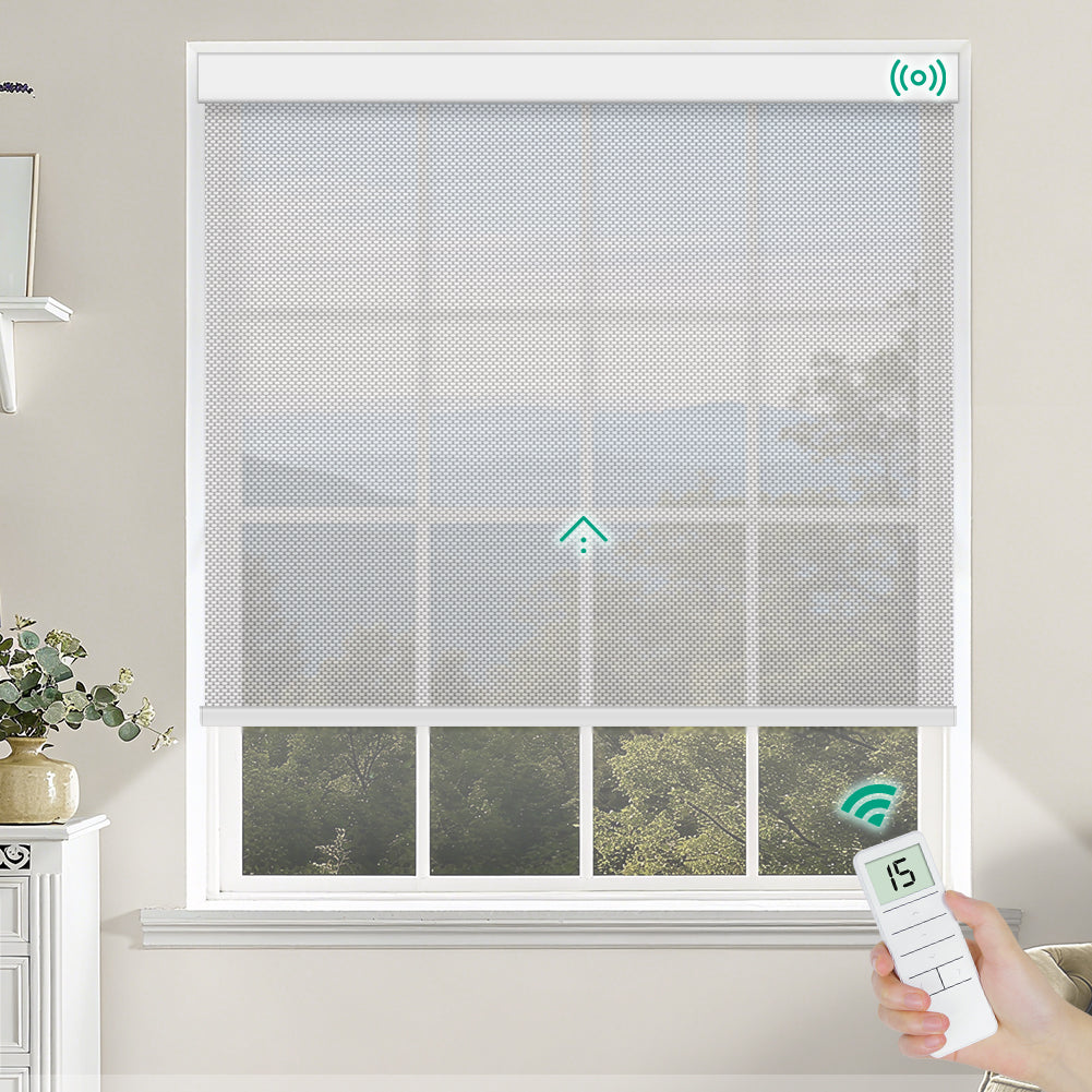 Motorized Light Filtering Fireproof Roller Shades