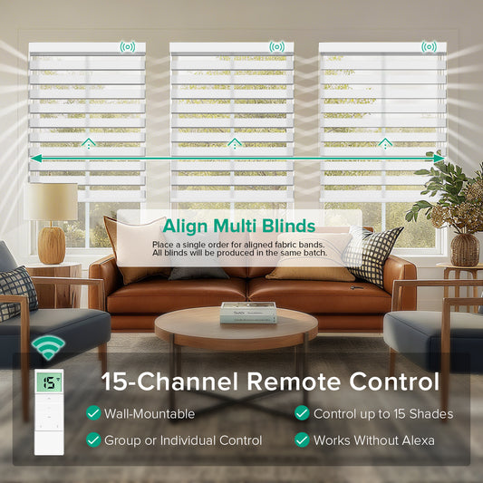 Motorized Zebra Blinds