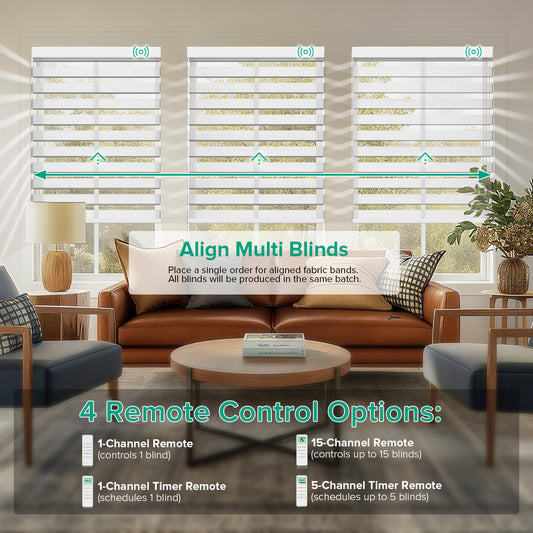Motorized Zebra Blinds