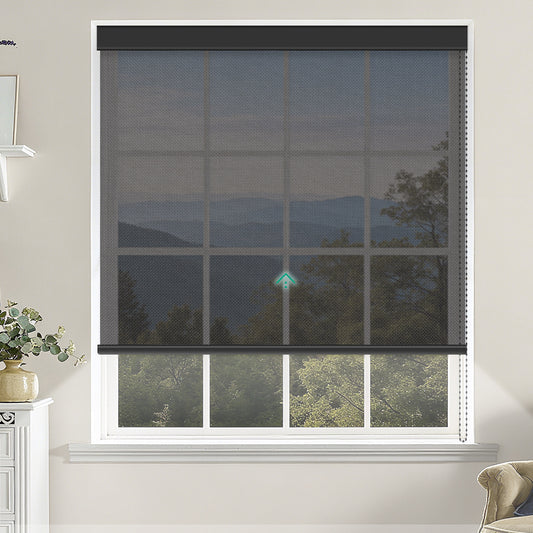Manual Corded Light Filtering Roller Shades - Fireproof Fabric