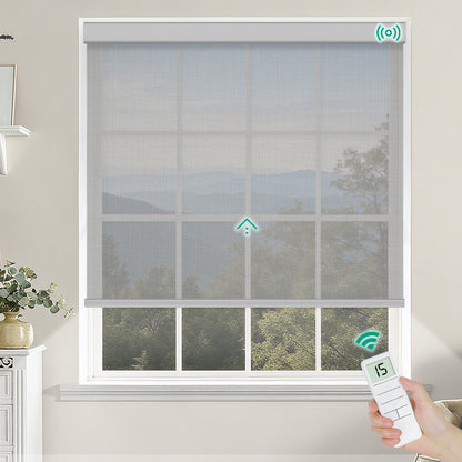 Motorized Light Filtering Fireproof Roller Shades