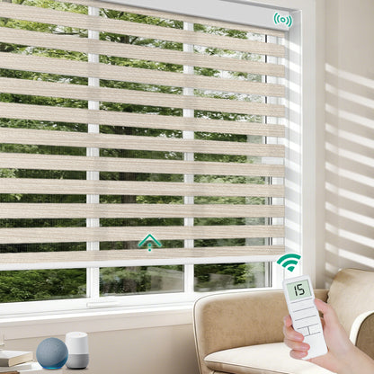 Motorized Zebra Blinds