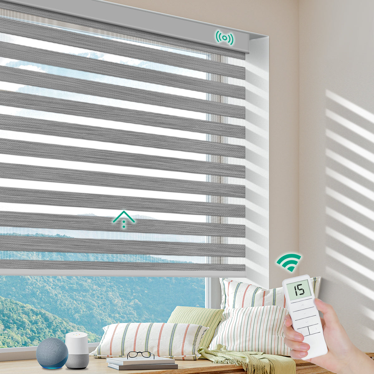 Motorized Zebra Blinds