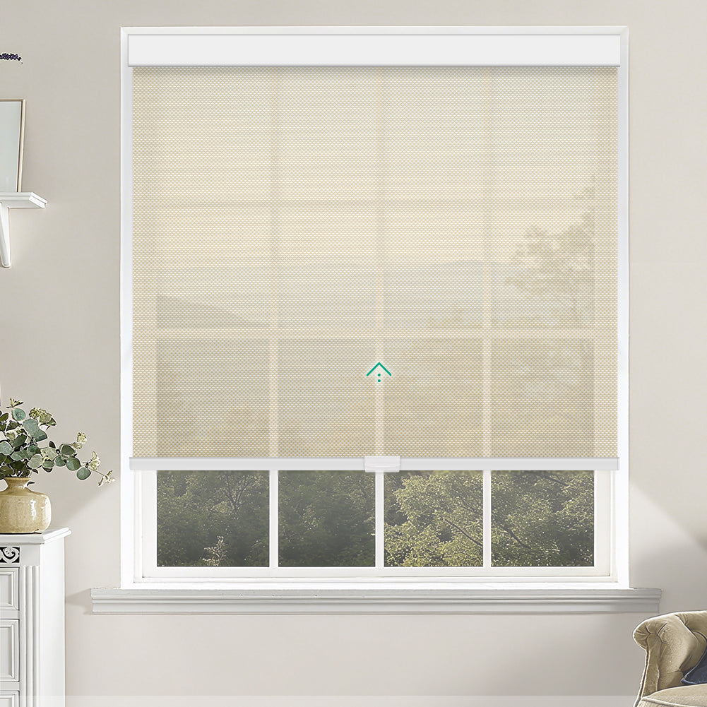 Manual Cordless Light Filtering Roller Shades - Fireproof Fabric